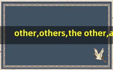 other,others,the other,another的词性